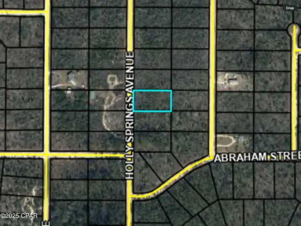 0000 Holly Springs Avenue, Alford, FL 32420