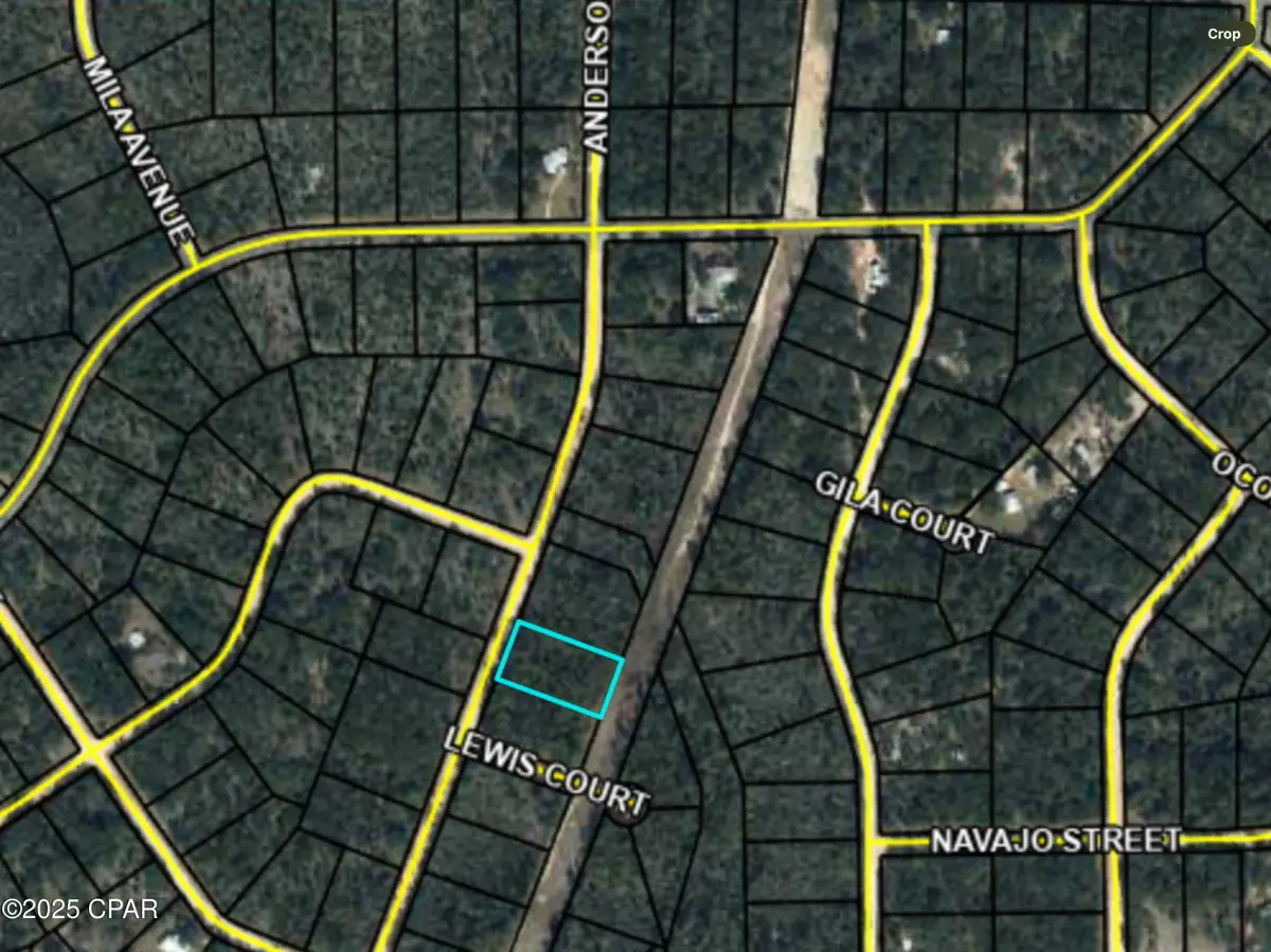 0000 Anderson Drive, Alford, FL 32420 - Image #1