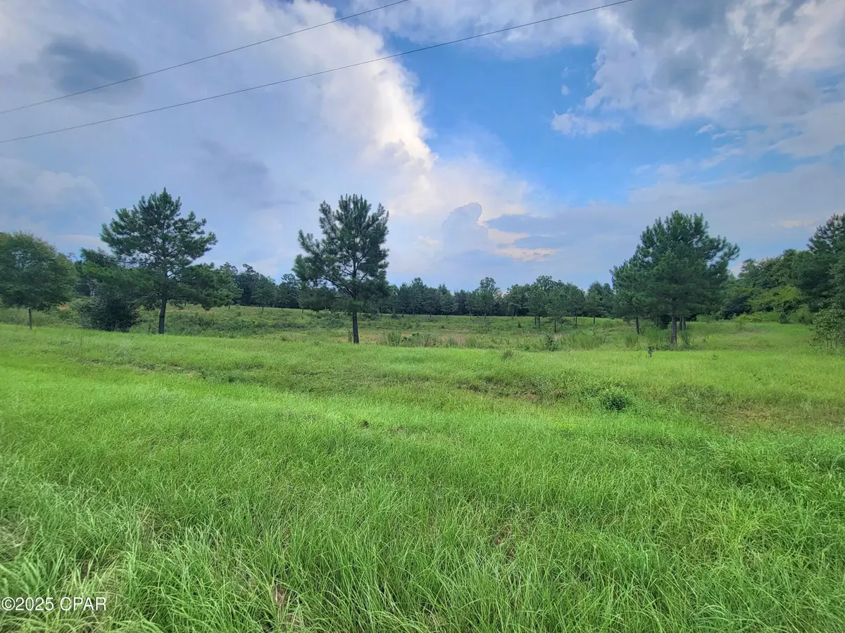 00 Lovedale Road, Bascom, FL 32423 - Image #1