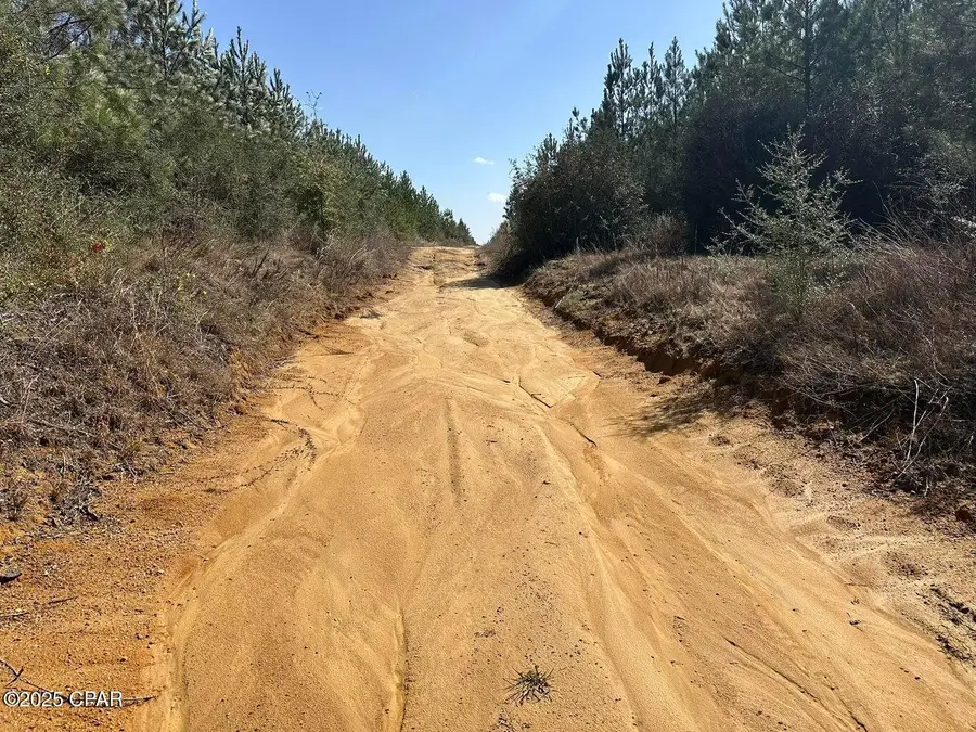 Tract#6416 S Douglas Ferry Road, Caryville, FL 32427 - Image #2