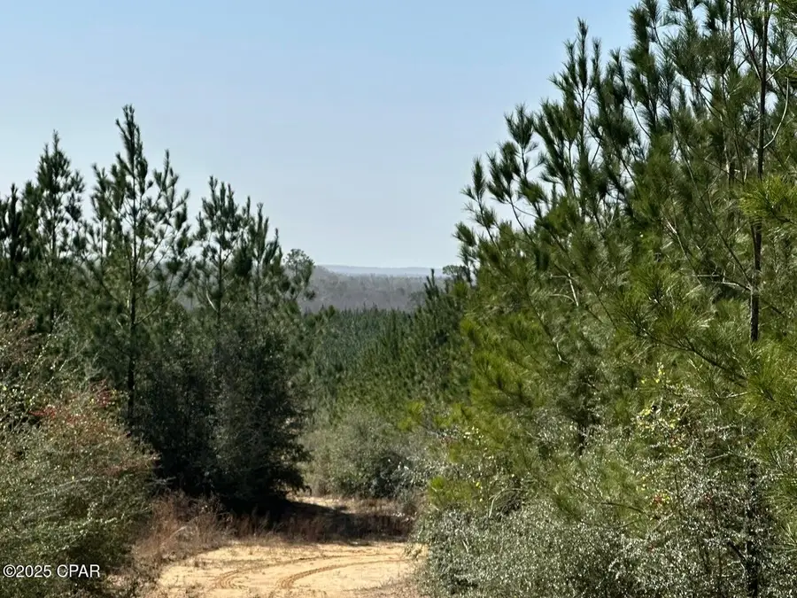 Tract#6416 S Douglas Ferry Road, Caryville, FL 32427 - Image #3