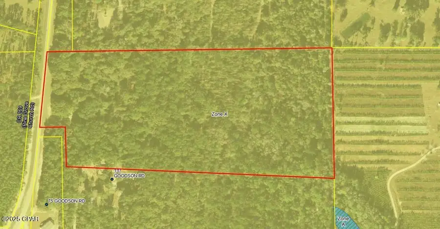 4600 Pine Grove Church Road, Quincy, FL 32351 - Image #3