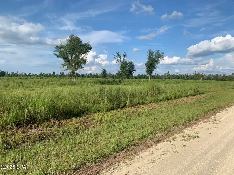 0000 Missy Lane, Clarksville, FL 32430 - Image #3