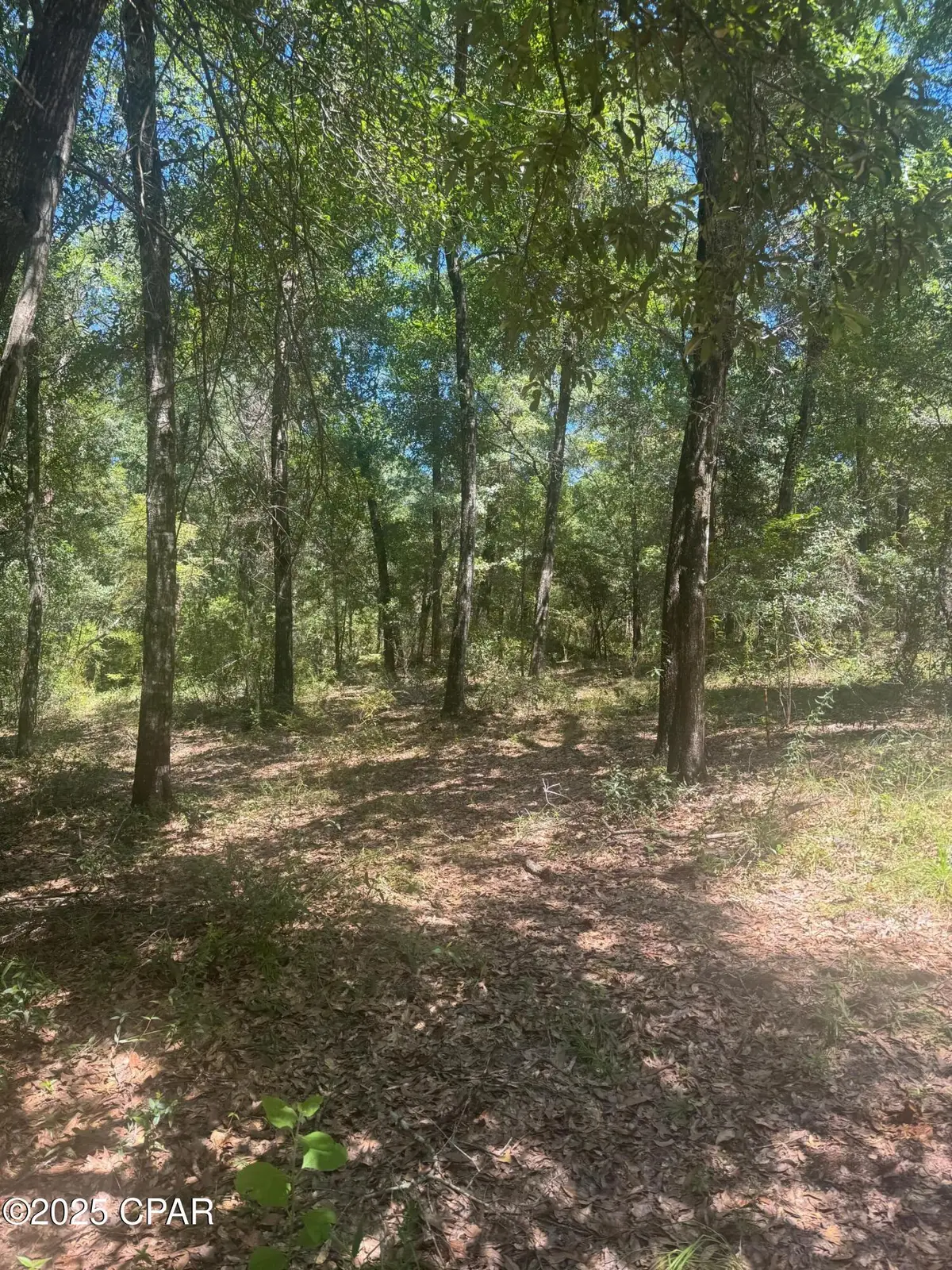 00 Dove Court, Chipley, FL 32428 - Image #1