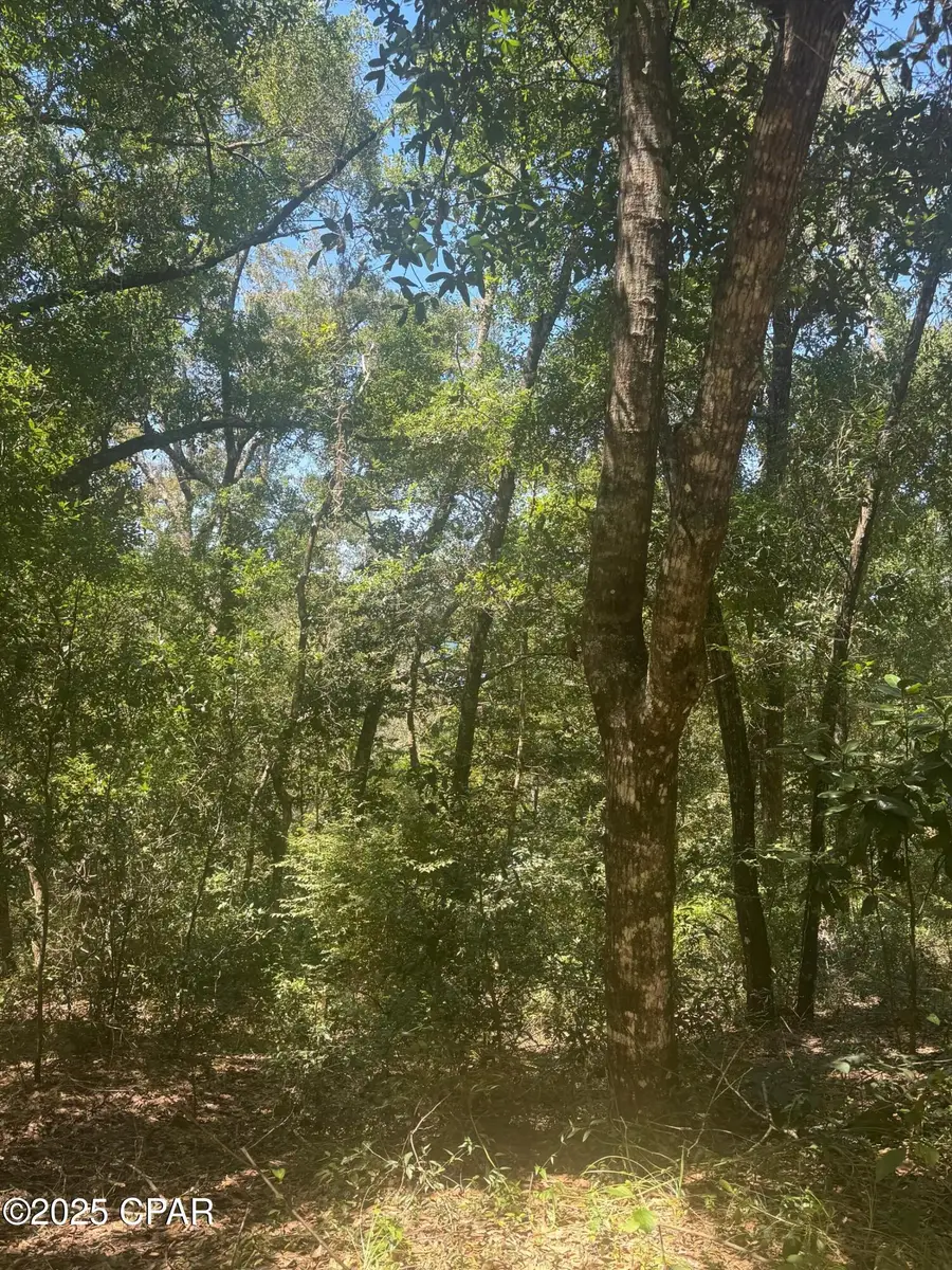 00 Dove Court, Chipley, FL 32428 - Image #2