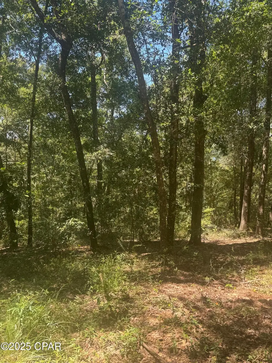 00 Dove Court, Chipley, FL 32428 - Image #3