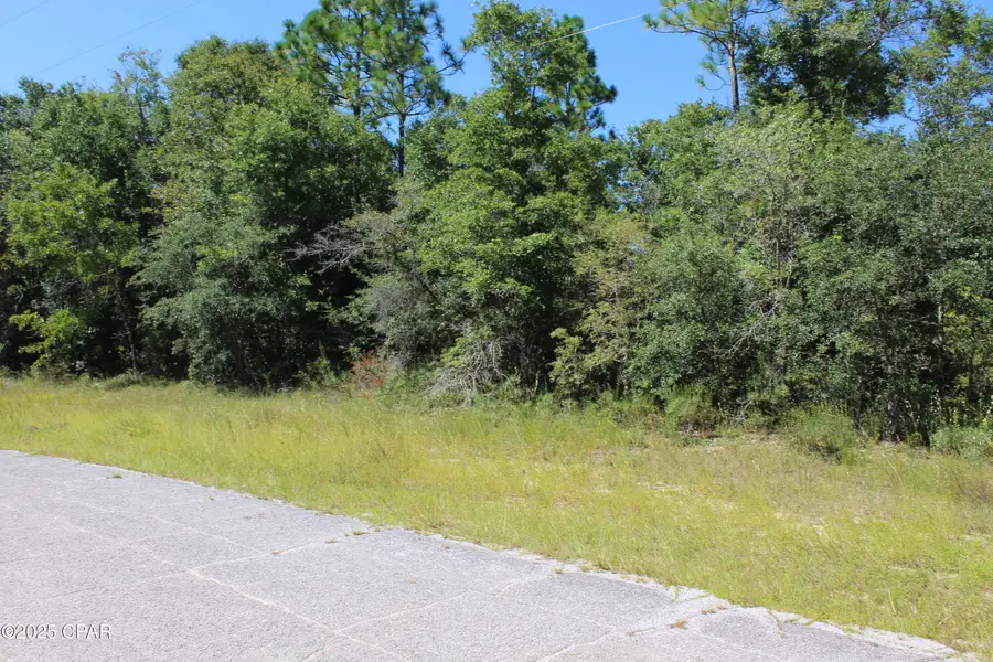 Lots 3 & 4 Apollo Street, Chipley, FL 32428 - Image #3