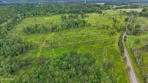 00 Bush Road, Graceville, FL 32440