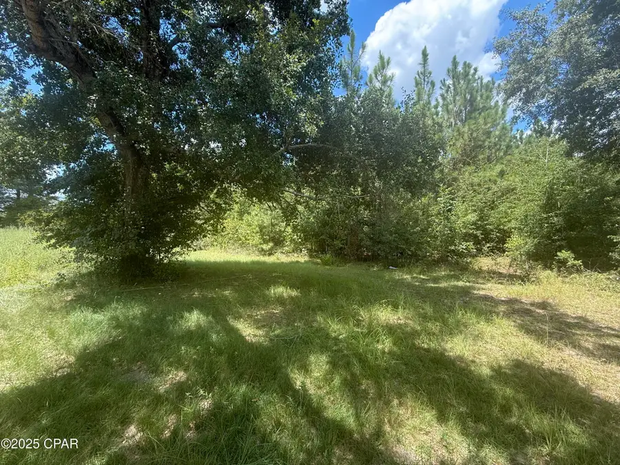 00 Blue Springs Road, Greenwood, FL 32443 - #2