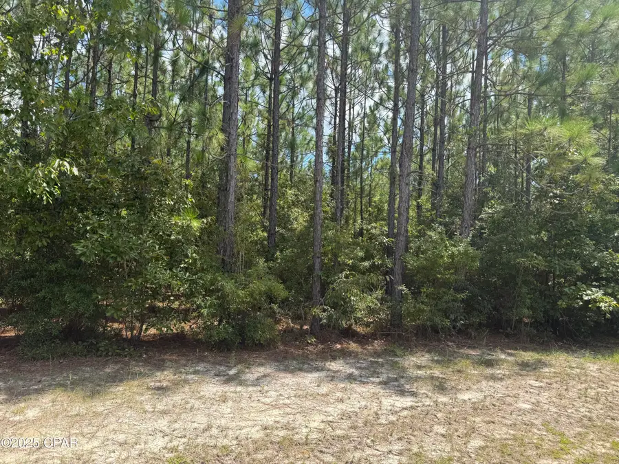 00 Silverwood Drive, Greenwood, FL 32443 - Image #2