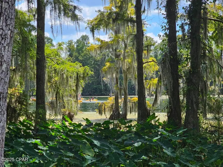 4918 Flynt Drive, Marianna, FL 32446 - Image #2