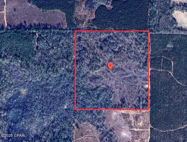 40 acres Swan Lane, Campbellton, FL 32426