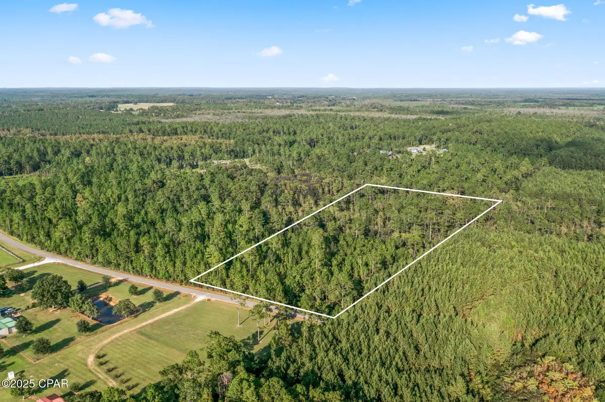 XXX Parrish Still Road, Vernon, FL 32462 - #1