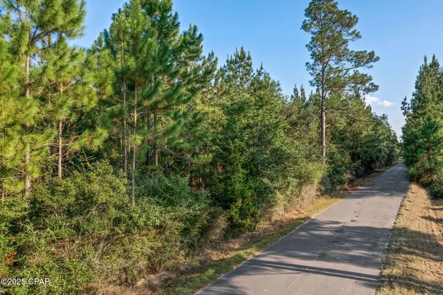 XXX Parrish Still Road, Vernon, FL 32462 - #2