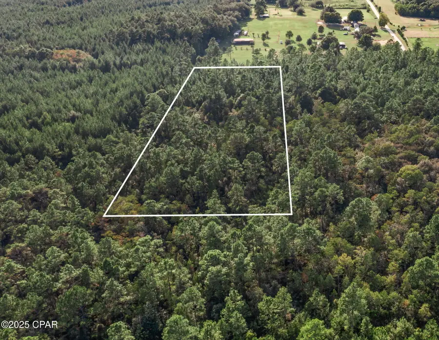 XXX Parrish Still Road, Vernon, FL 32462 - #3