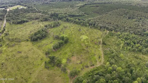 000 Bush Road, Graceville, FL 32440