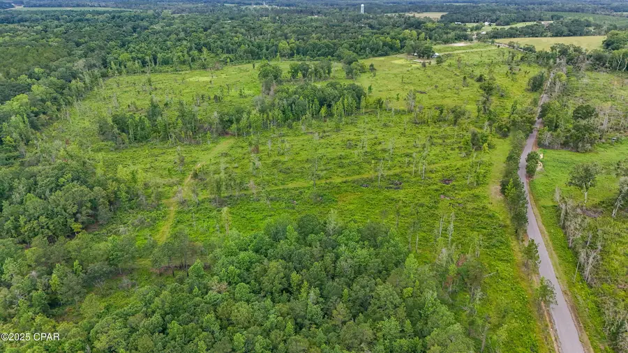 000 Bush Road, Graceville, FL 32440 - Image #2