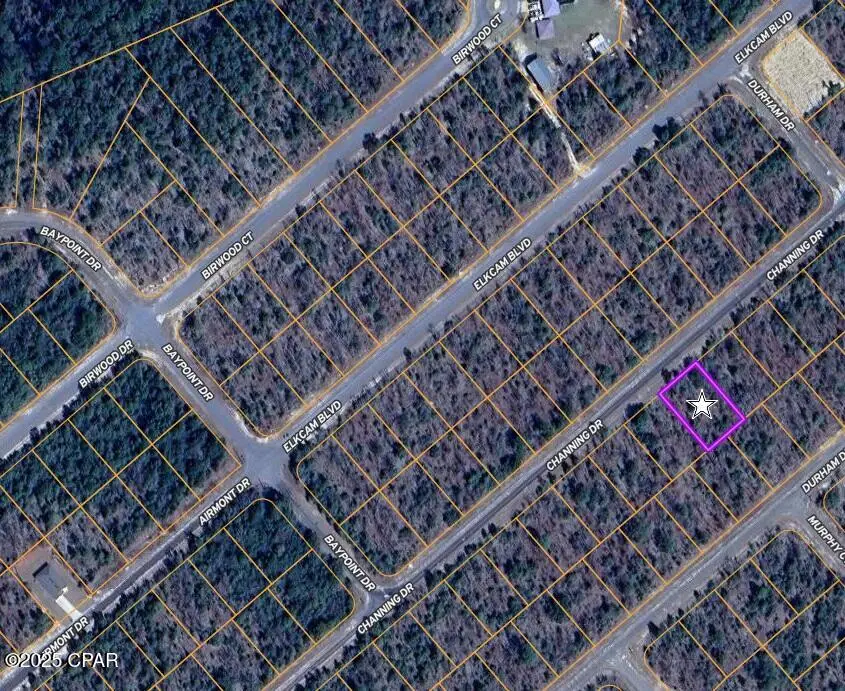 0 Channing Drive, Chipley, FL 32428 - Image #1