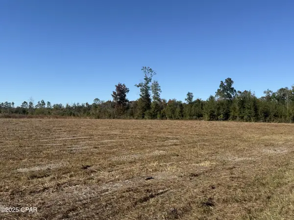 Lot 1 Hwy 71, Wewahitchka, FL 32465