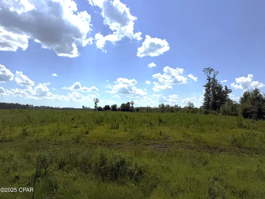 Lot 1 Hwy 71, Wewahitchka, FL 32465 - Image #2