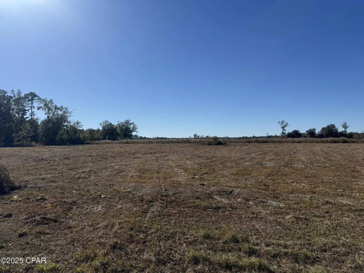 Lot 9 Hwy 71, Wewahitchka, FL 32465 - Image #1