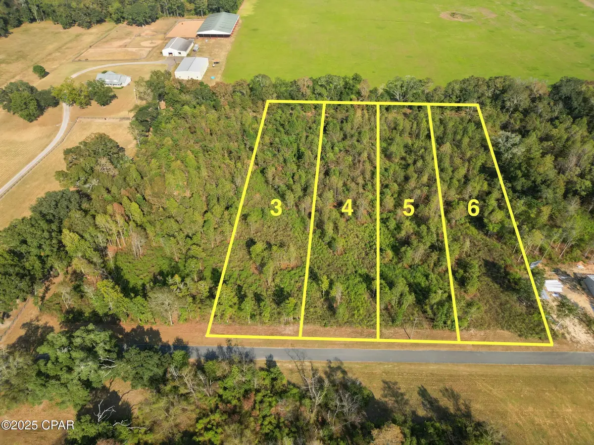 Parcel 6 1st Avenue, Graceville, FL 32440 - Image #1