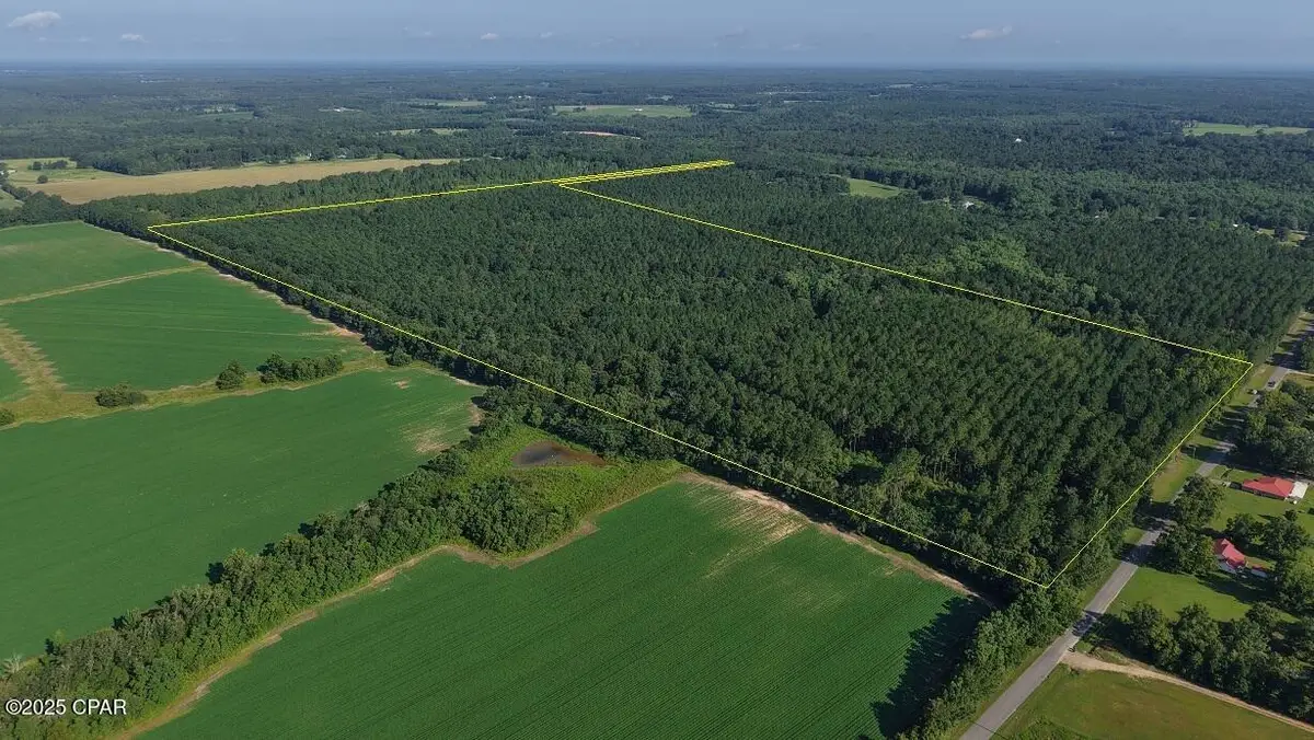 0 Co 147 Highway, Laurel Hill, FL 32567 - Image #1