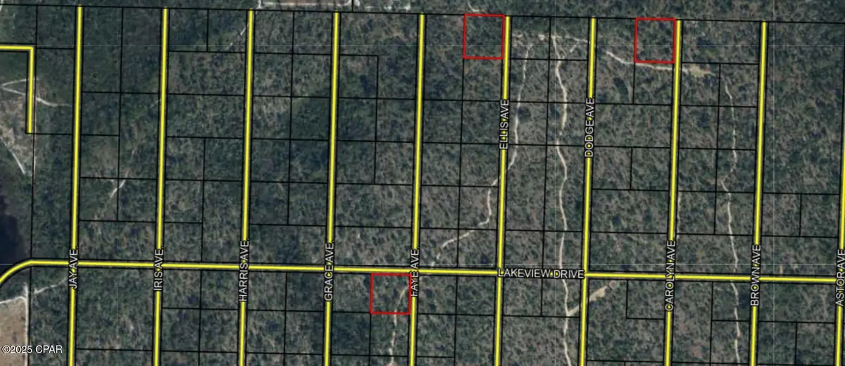 LOT 1/4/16 Hwy 20, Youngstown, FL 32466 - Image #1