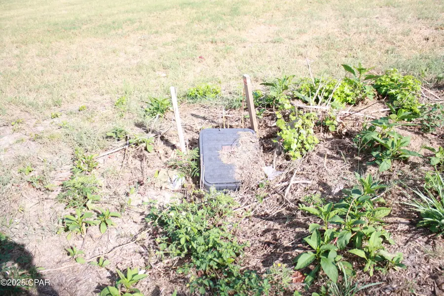 00000 Miltonia Avenue, Marianna, FL 32446 - Image #3