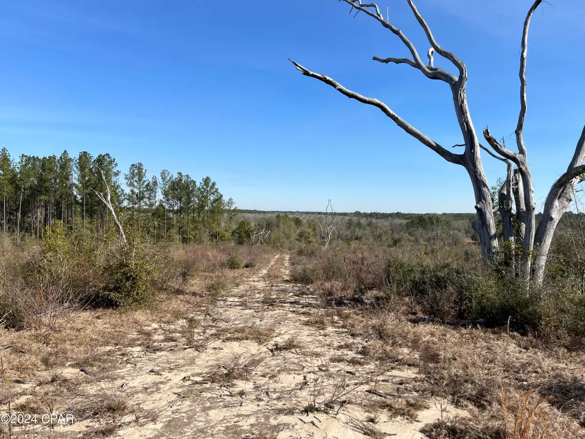 0 James Luther Street, Ponce De Leon, FL 32455 - Image #1