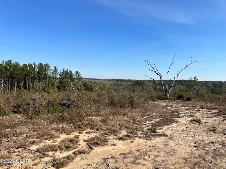 0 James Luther Street, Ponce De Leon, FL 32455 - Image #3