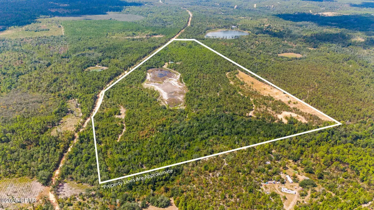 0 Hasty Pond Road, Marianna, FL 32448 - Image #1