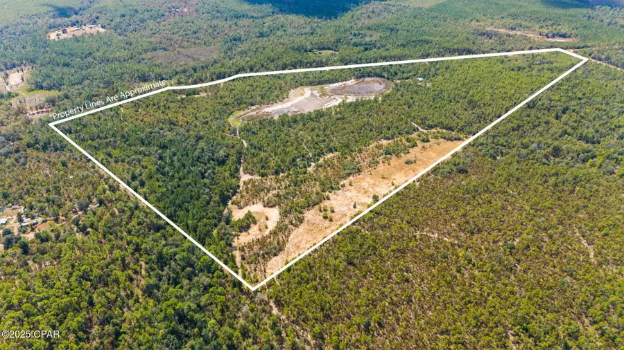 0 Hasty Pond Road, Marianna, FL 32448 - Image #2