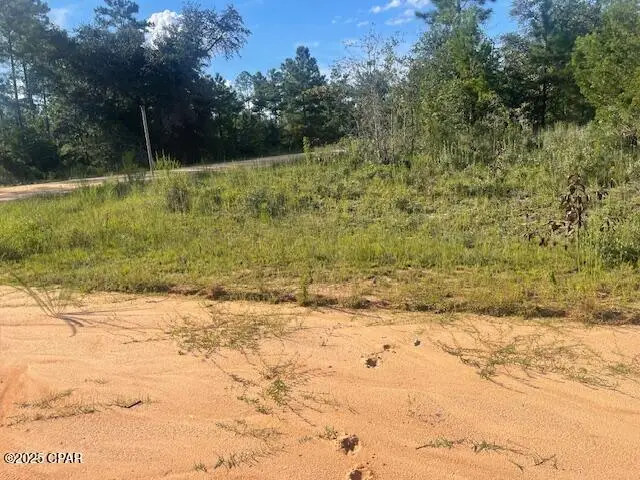 A Nezperce Drive, Alford, FL 32420 - Image #1