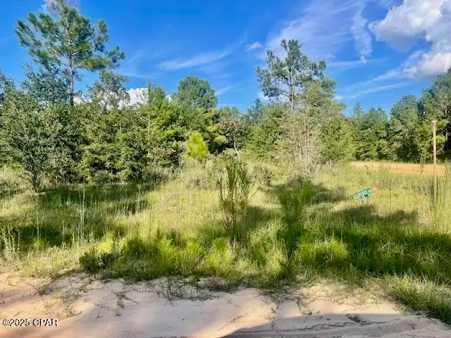 A Nezperce Drive, Alford, FL 32420 - Image #2