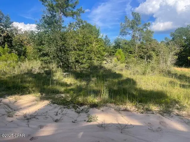 A Nezperce Drive, Alford, FL 32420 - Image #3