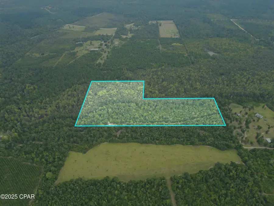0 Non Road Access Road, Marianna, FL 32448 - Image #3