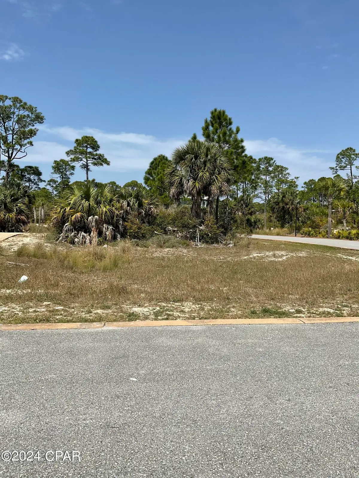 Lot 47 Jubilation Drive, Cape San Blas, FL 32456 - #1