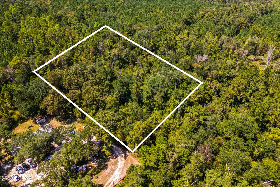 TBD2 Syracuse Lane, Marianna, FL 32446 - Image #2