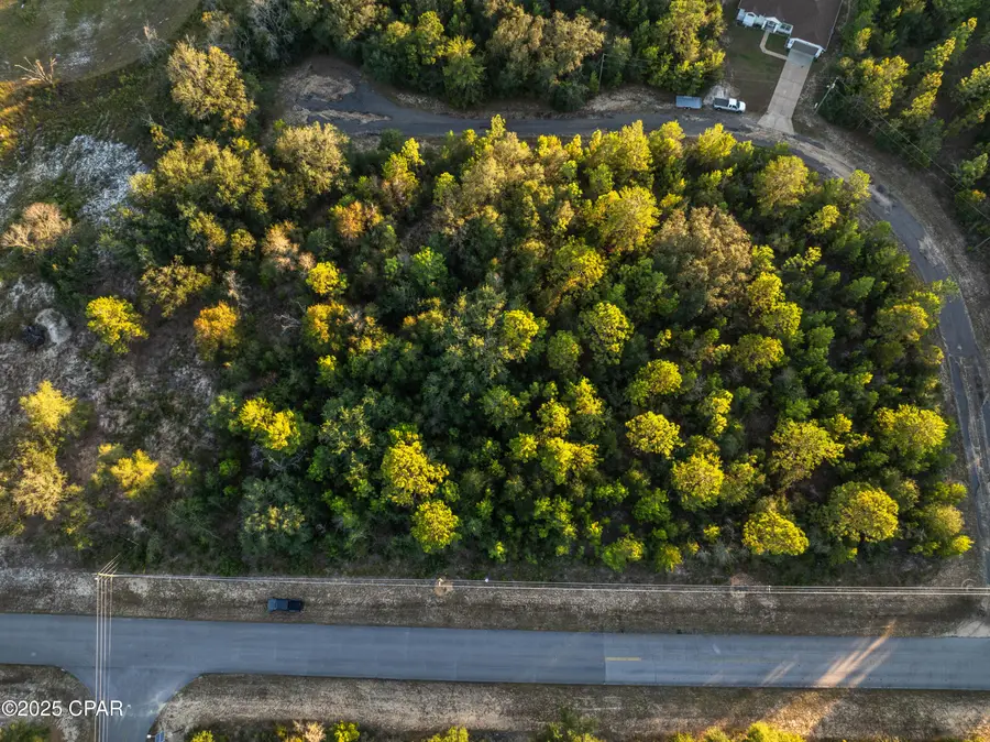 XXXXXX Shenandoah #Lot 19, Chipley, FL 32428 - #3