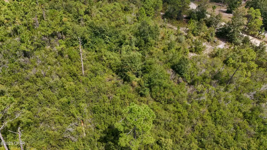 9119 Ibis Lane, Youngstown, FL 32466 - Image #3