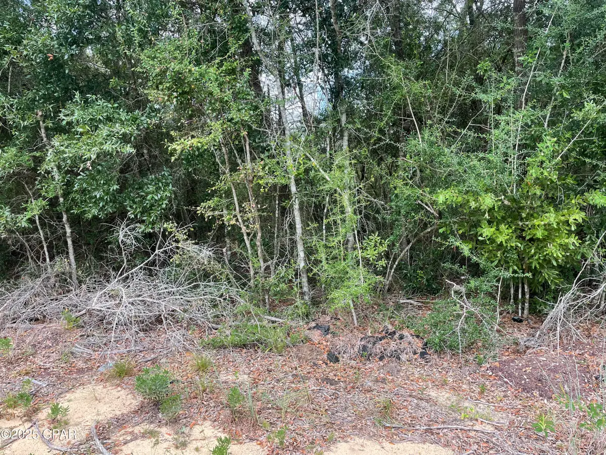 Lot 23 Geraldine Circle, Chipley, FL 32428 - Image #1