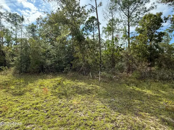 000 Beaverhead Street, Alford, FL 32420