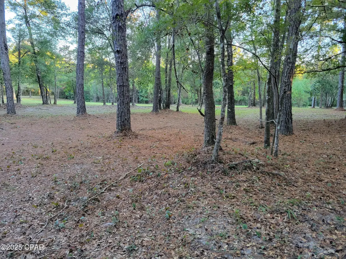 0000 Hardwood Lane, Ponce De Leon, FL 32455 - #1