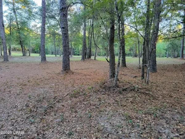 0000 Hardwood Lane, Ponce De Leon, FL 32455