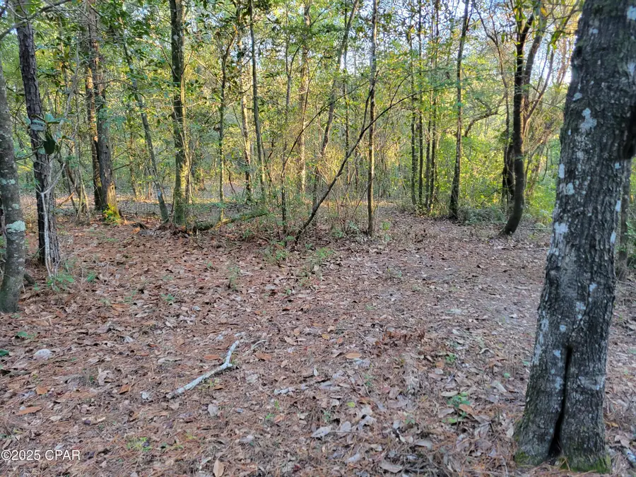 0000 Hardwood Lane, Ponce De Leon, FL 32455 - #3