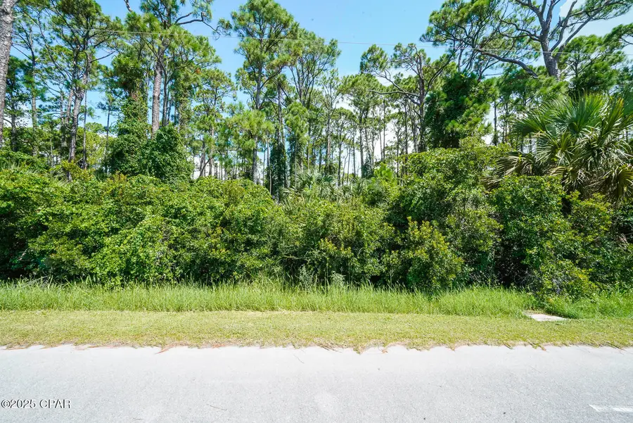 TBD Cape San Blas Rd, Port Saint Joe, FL 32456 - Image #3