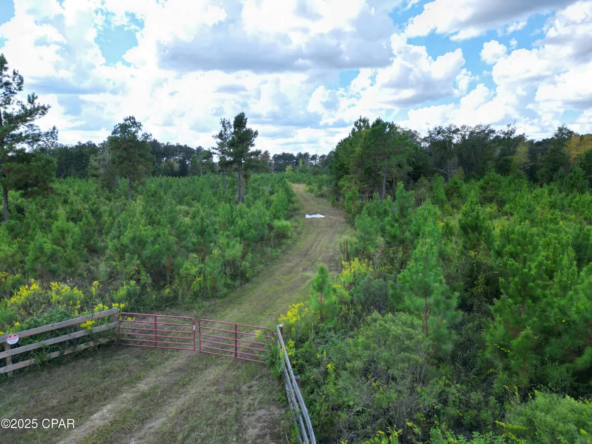 000 River Road, Sneads, FL 32460 - Image #1