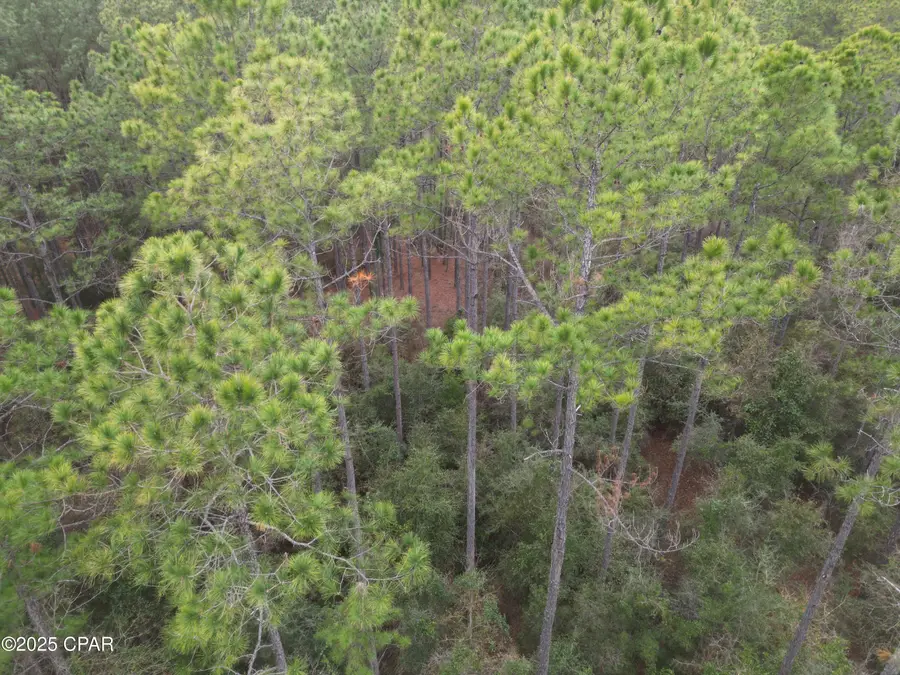 0020 Hawthorne Trail, Bonifay, FL 32425 - Image #2