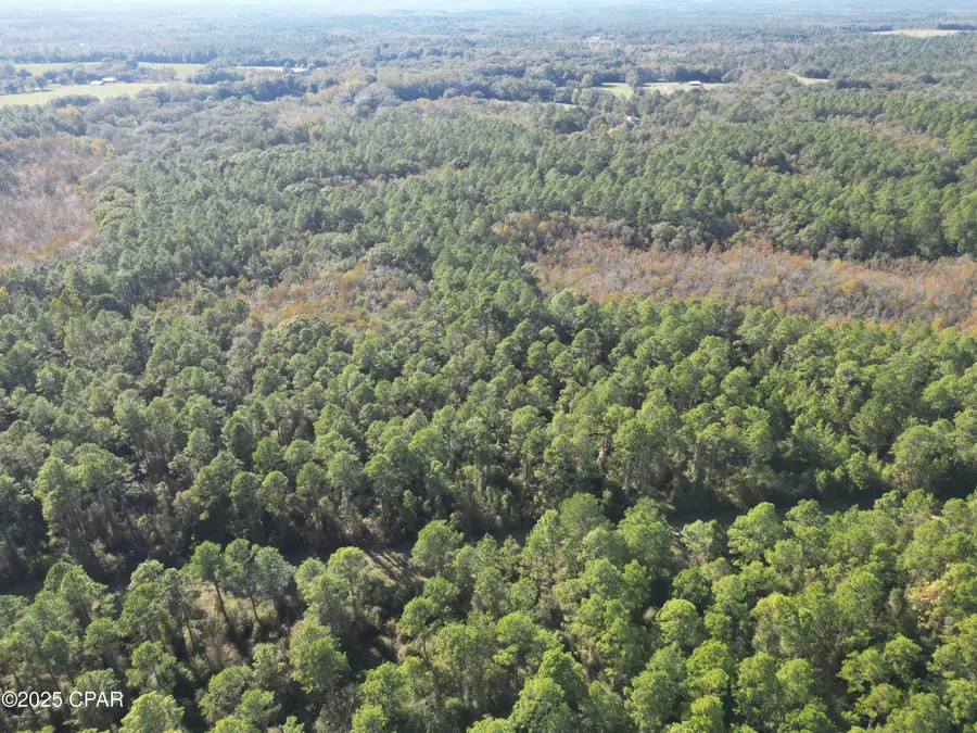 0020 Hawthorne Trail, Bonifay, FL 32425 - Image #3